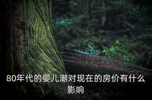 嬰兒潮會催生什么產(chǎn)業(yè)，80年代的嬰兒潮對現(xiàn)在的房價有什么影響