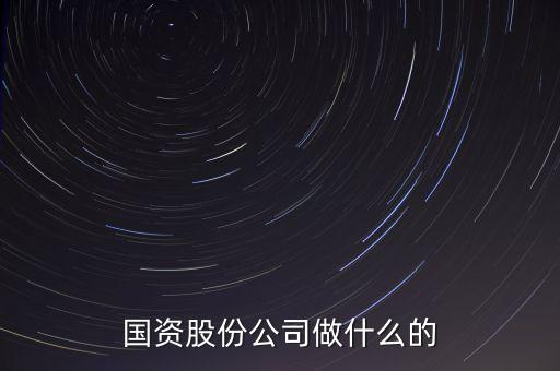 國資公司是做什么的，國資股份公司做什么的
