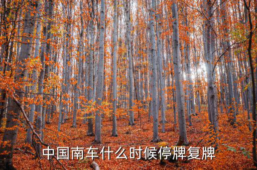 中國南車什么情況，中國南車跌停預示著大盤明天有什么狀況