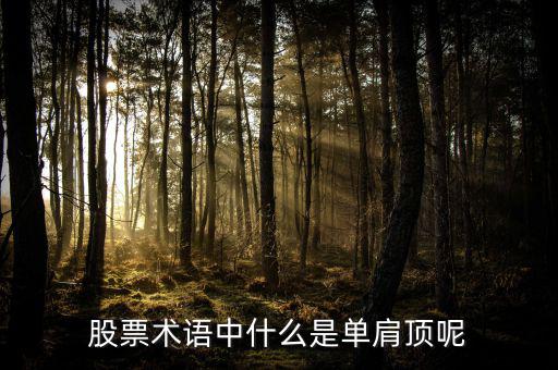 復(fù)肩頂股票里什么意思，頭頂肩在股市中是什么意思