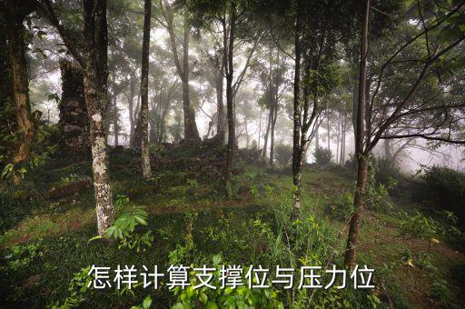 怎樣計算支撐位與壓力位
