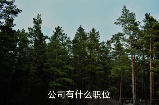 復(fù)星集團(tuán)核心崗位是什么，公司有什么職位