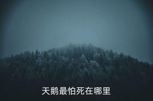 天鵝怕什么，天鵝最怕死在哪里