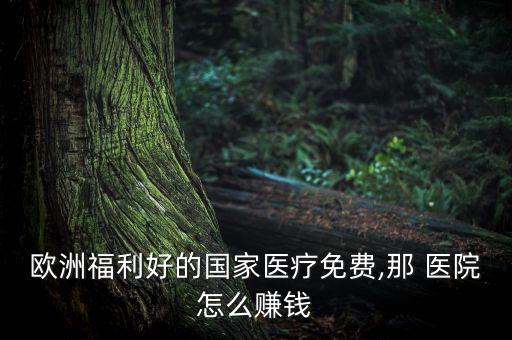 歐洲福利好的國(guó)家醫(yī)療免費(fèi),那 醫(yī)院怎么賺錢(qián)