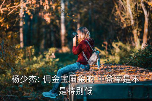 楊少杰: 傭金寶國(guó)金的 中簽率是不是特別低