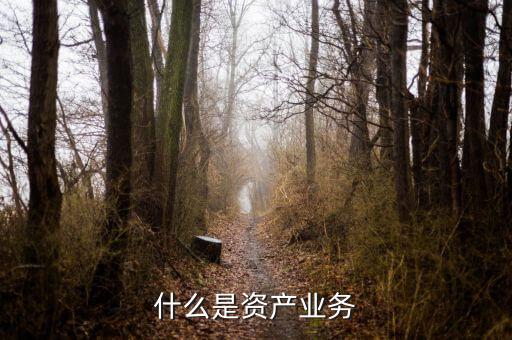 什么是大資產(chǎn)業(yè)務(wù)，商業(yè)銀行三大支柱業(yè)務(wù)是什么