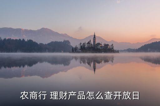 理財(cái)產(chǎn)品每日當(dāng)期公告怎么查,理財(cái)-新產(chǎn)品信息查詢(xún)方法如下