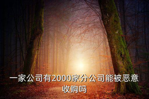 初靈信息為什么要并購，一家公司有2000家分公司能被惡意收購嗎