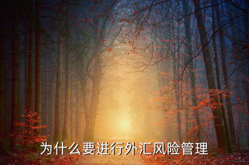 中國(guó)為什么實(shí)行外匯管制，為什么要加入國(guó)家外匯管理局工作