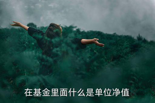 什么是基金單位凈值，基金單位凈值是什么意思