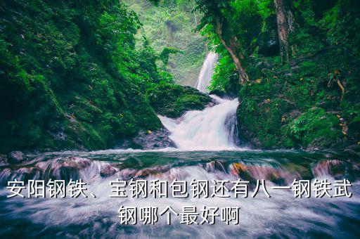 安陽(yáng)鋼鐵、寶鋼和包鋼還有八一鋼鐵武鋼哪個(gè)最好啊