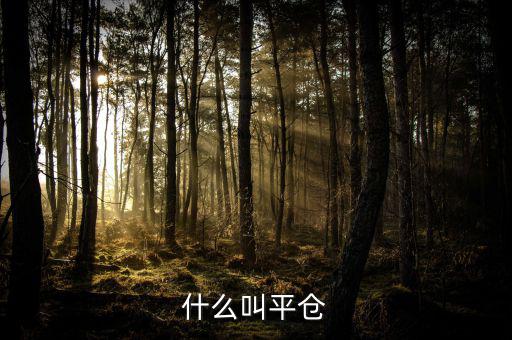 斬倉是什么，什么叫平倉