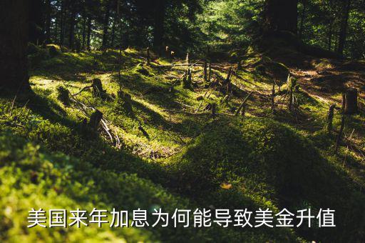 美聯(lián)儲(chǔ)加息為什么會(huì)使美元升值，美國來年加息為何能導(dǎo)致美金升值