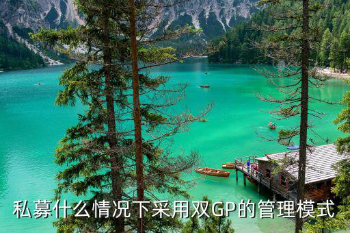 雙gp基金是什么，私募什么情況下采用雙GP的管理模式