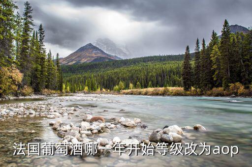 法國發(fā)生什么改革，法國葡萄酒哪一年開始等級改為aop