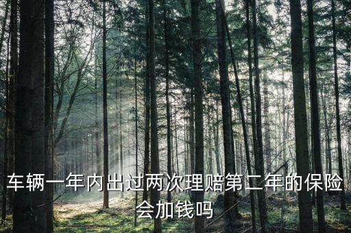 一年中兩次事故理培有什么影響，車(chē)輛一年內(nèi)出過(guò)兩次理賠第二年的保險(xiǎn)會(huì)加錢(qián)嗎