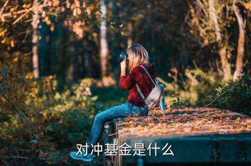 對(duì)沖基金是什么意思，什么是對(duì)沖基金對(duì)沖基金指的是什么