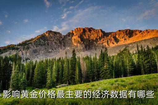 什么數(shù)據(jù)會(huì)影響黃金，影響黃金價(jià)格最主要的經(jīng)濟(jì)數(shù)據(jù)有哪些
