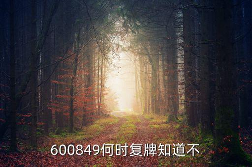 儀電b股什么時候復牌，600849何時復牌知道不