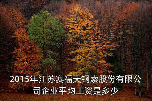 賽福天是什么公司，2015年江蘇賽福天鋼索股份有限公司企業(yè)平均工資是多少