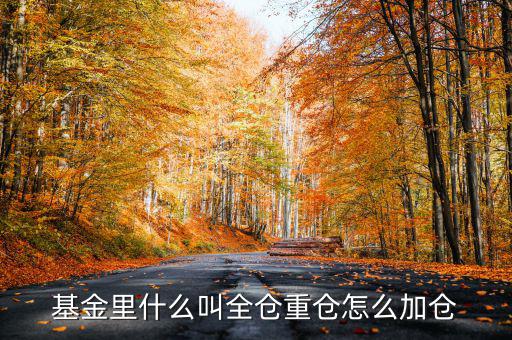 什么是基金加倉，基金里什么叫全倉重倉怎么加倉