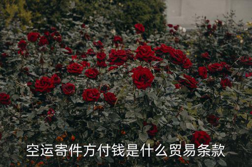 空運寄件方付錢是什么貿易條款