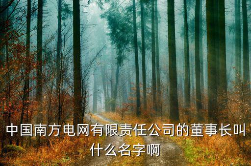 南方電網(wǎng)董事長是什么級別，南方電網(wǎng)是的老總是部級嗎