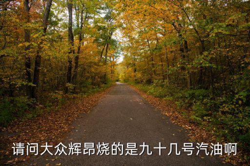 什么車(chē)燒90號(hào)汽油，請(qǐng)問(wèn)大眾輝昂燒的是九十幾號(hào)汽油啊