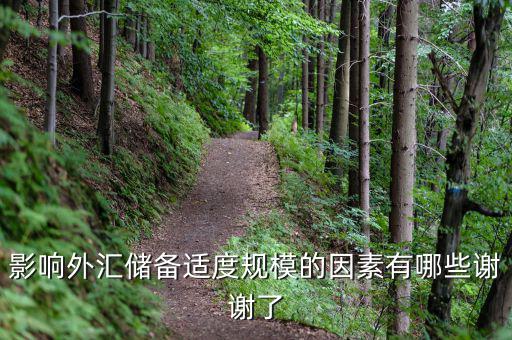 什么樣的外匯儲(chǔ)備規(guī)模是合理的，我國的外匯儲(chǔ)備規(guī)模是否合理
