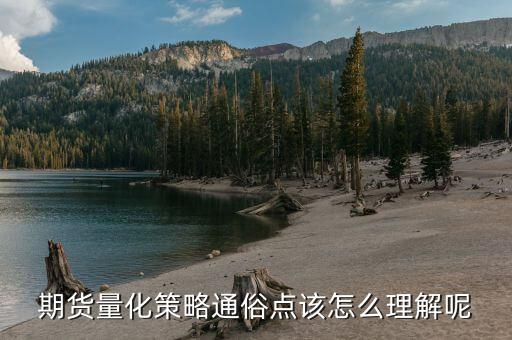 期貨指標(biāo)量化是什么意思，量化標(biāo)準(zhǔn)是什么意思
