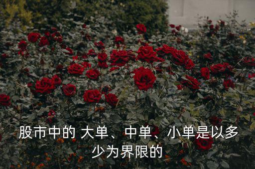  股市中的 大單、中單、小單是以多少為界限的