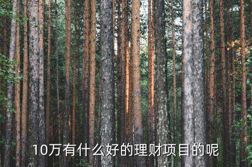 10萬做什么理財好，10萬有什么好的理財項目的呢