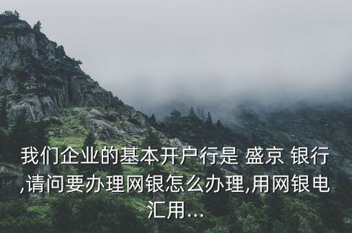我們企業(yè)的基本開戶行是 盛京 銀行,請(qǐng)問要辦理網(wǎng)銀怎么辦理,用網(wǎng)銀電匯用...
