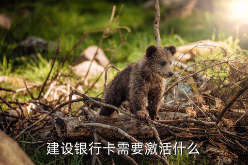 建行信用卡激活需要什么，激活信用卡需要準(zhǔn)備什么東西身份證和戶口本