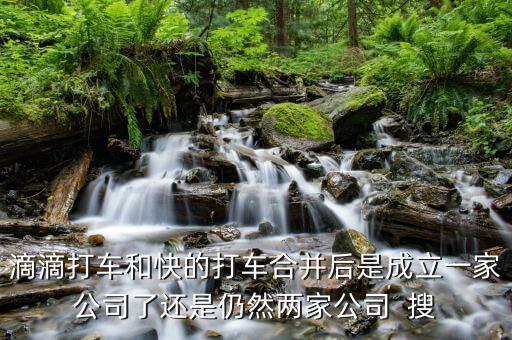 滴滴快的合并后叫什么，滴滴打車和快的打車合并后是成立一家公司了還是仍然兩家公司  搜
