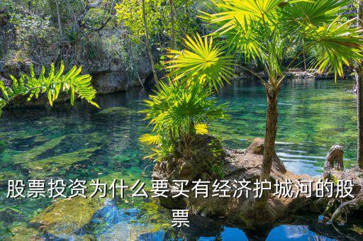 什么是股票投資的護城河理論，從基本面看證券投資的護城河是指哪幾類情況