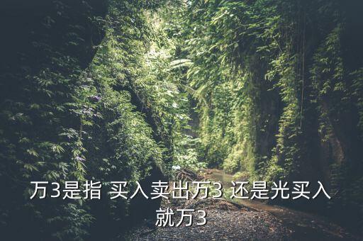 萬(wàn)3是指 買入賣出萬(wàn)3 還是光買入就萬(wàn)3