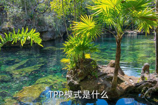 tpp什么時(shí)候生效，TPP文件時(shí)什么東西