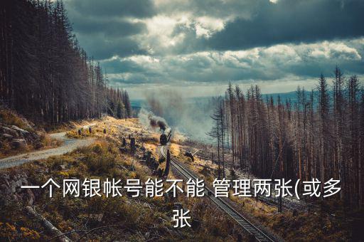 一個(gè)網(wǎng)銀帳號能不能 管理兩張(或多張