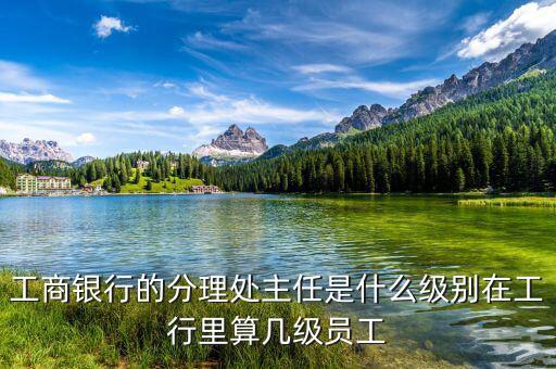 銀行分理處值班經(jīng)理是什么職位，工商銀行的分理處主任是什么級別在工行里算幾級員工