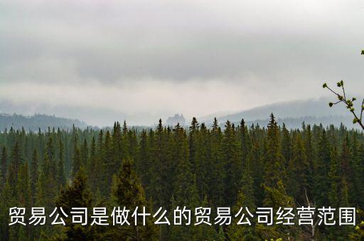 民百集團經(jīng)營什么，貿(mào)易公司是做什么的貿(mào)易公司經(jīng)營范圍