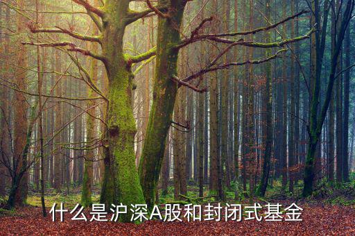 什么是上證封閉基金，請問什么是上海封閉式基金操作跟股票一樣嗎