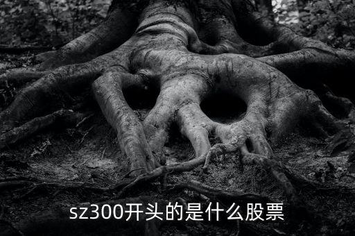 sz開頭的是什么股票，sz300開頭的是什么股票