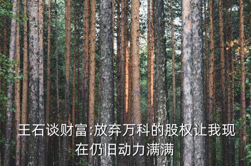  王石談財(cái)富:放棄萬(wàn)科的股權(quán)讓我現(xiàn)在仍舊動(dòng)力滿滿