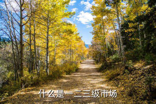 什么是一級市場，房地產(chǎn)一級市場是什么意思
