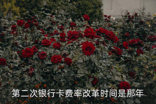 各銀行手續(xù)費改革什么時候開始，第二次銀行卡費率改革時間是那年