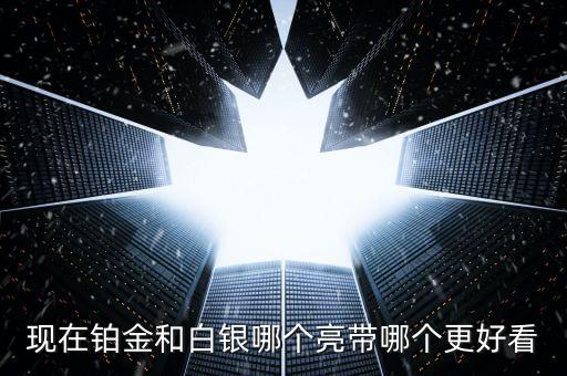 什么白銀最亮，哪種銀子最好