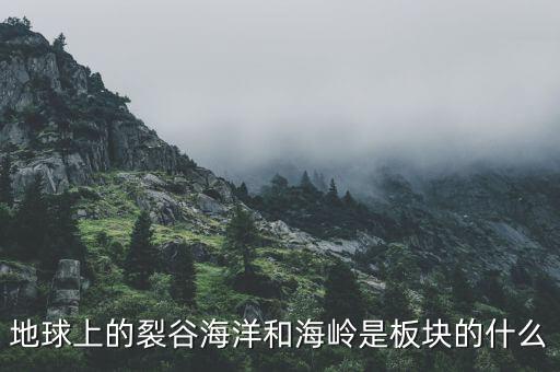 誠(chéng)益通屬于什么板塊，地球上的裂谷海洋和海嶺是板塊的什么