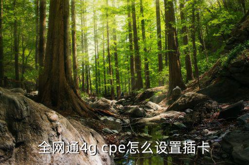 中國移動(dòng)cpe怎么辦理