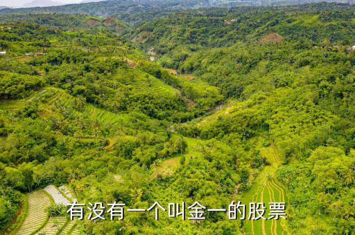 金一文化為什么停牌，金一文化什么時(shí)候復(fù)牌